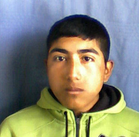 User Image